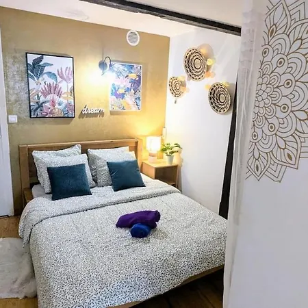 Апартаменты Cosy Planta - 2 Lits - Hyper Centre & Clemenceau