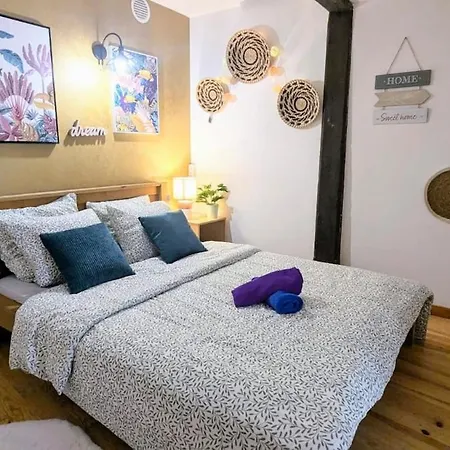 Cosy Planta - 2 Lits - Hyper Centre & Clemenceau