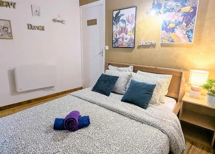 Cosy Planta - 2 Lits - Hyper Centre & Clemenceau Apartment Pau