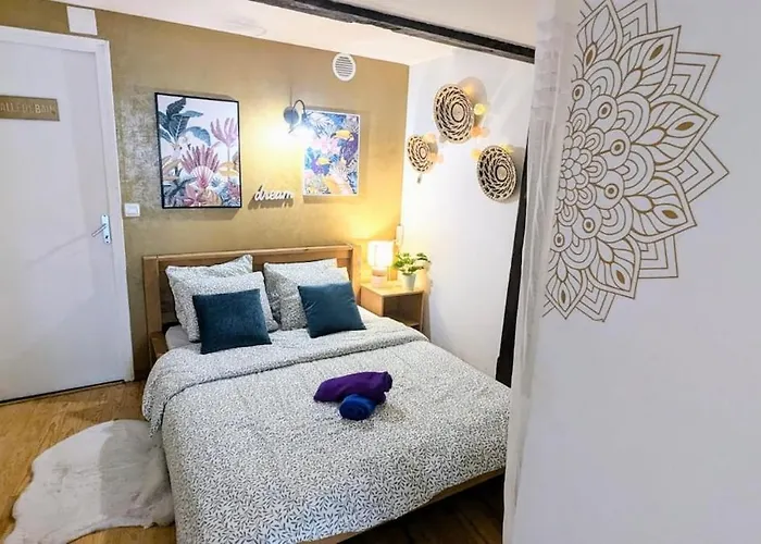 公寓 Cosy Planta - 2 Lits - Hyper Centre & Clemenceau