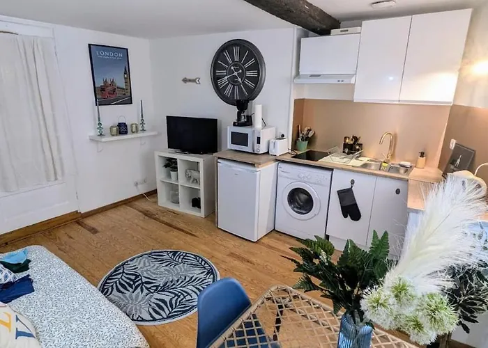 Cosy Planta - 2 Lits - Hyper Centre & Clemenceau Pau