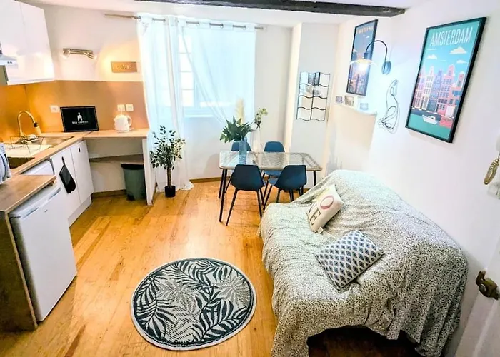 Cosy Planta - 2 Lits - Hyper Centre & Clemenceau * Pau
